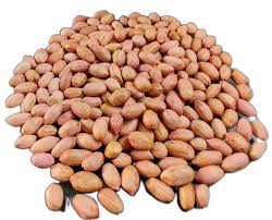Dried Peanut Kernel